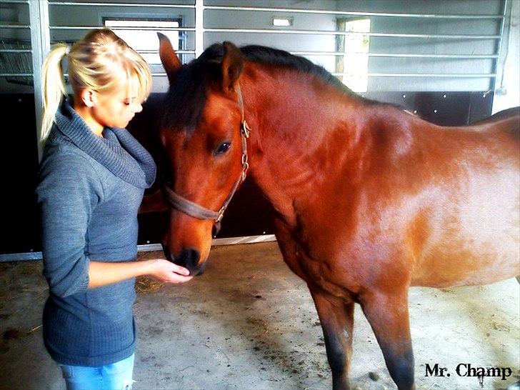 Anden særlig race Mr Champ billede 3
