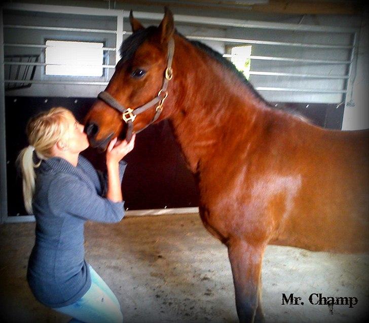 Anden særlig race Mr Champ billede 19