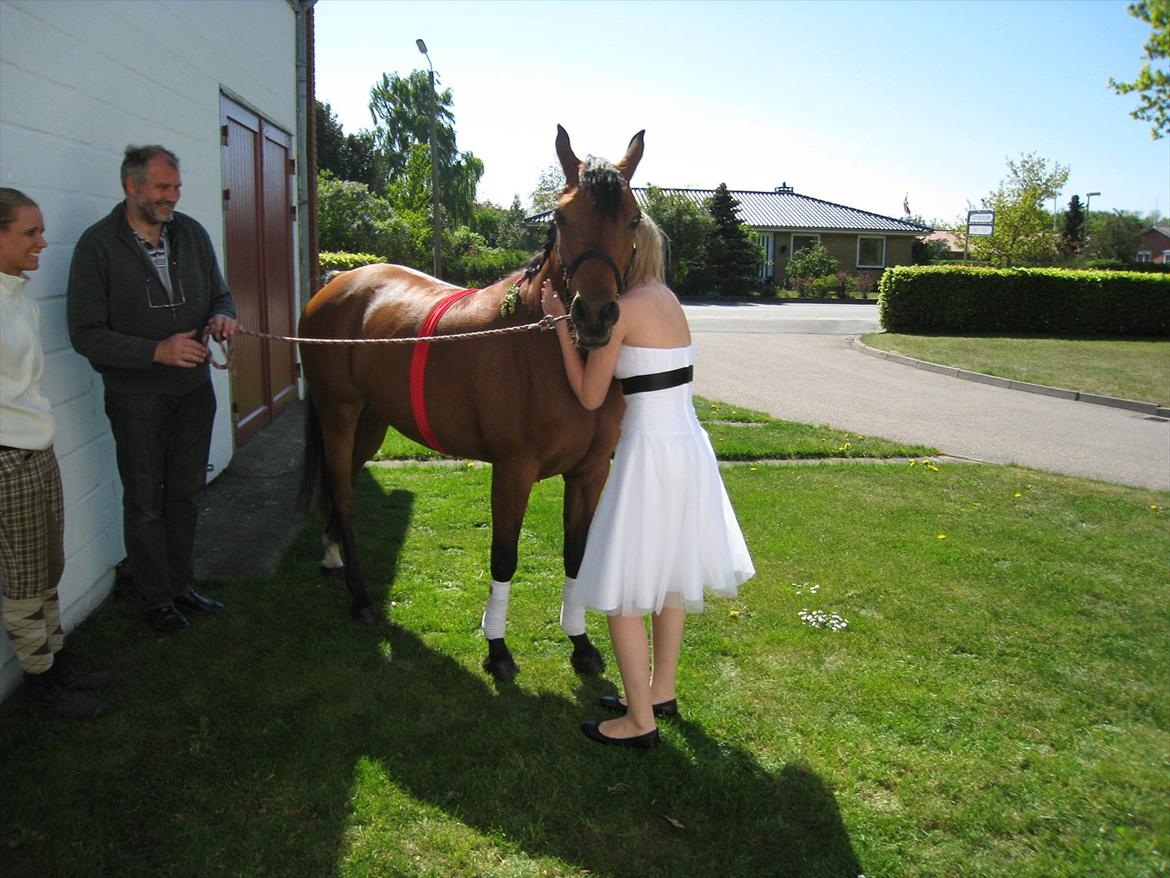 Arabisk fuldblod (OX) Fad Fynta - Blev så glad, at jeg græd :*<3 billede 14