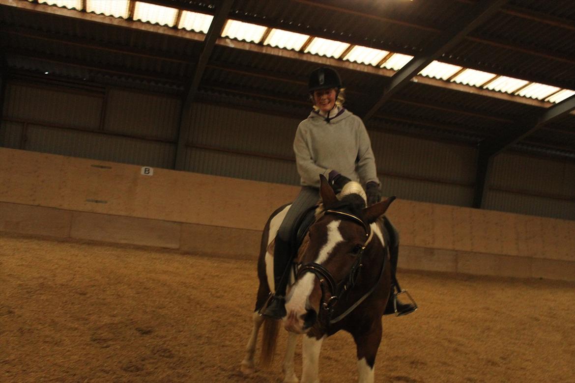 Pinto Charmaine billede 6