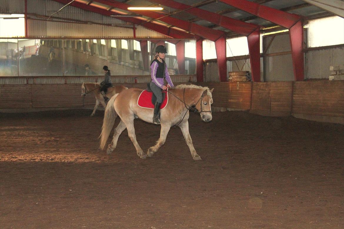 Haflinger Cody - Josefine, som har part i Cody :)
Undervisning oktober 2011 billede 17
