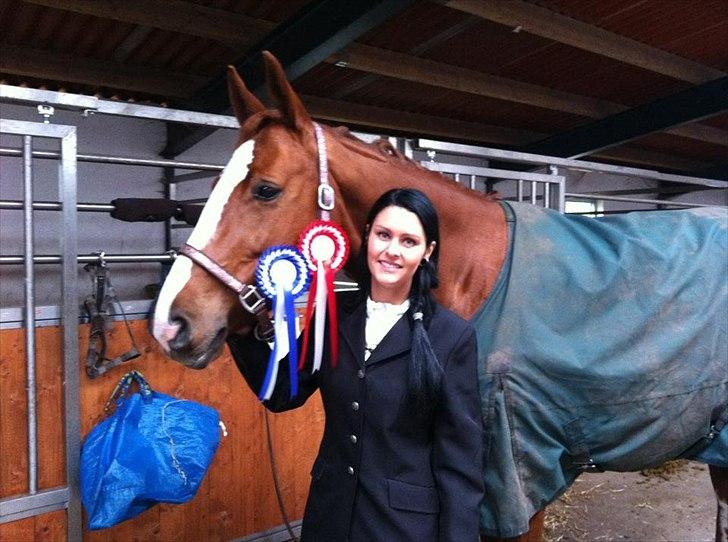 Dansk Varmblod Wenezia (Tulle) R.I.P - 1 og 2 plads :D Meeeget stolt <3 billede 10