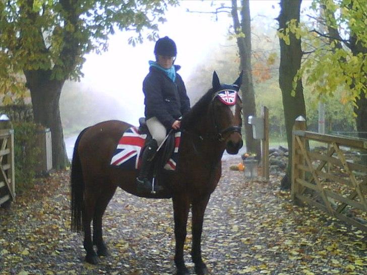 Anden særlig race Jackpot - bare lidt JW fan ikk?<3
foto: ANnika billede 15