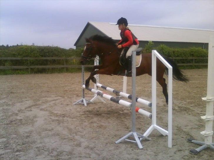 Anden særlig race Jackpot - Foto: Annika billede 16