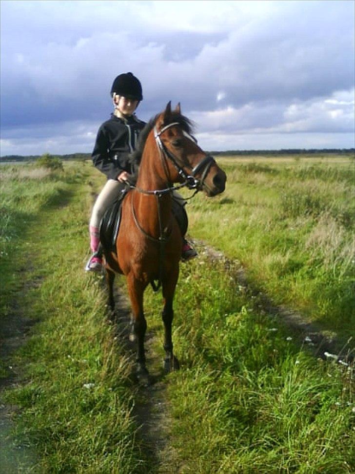 Anden særlig race Jackpot - På stranden. foto: Annika<3 billede 17