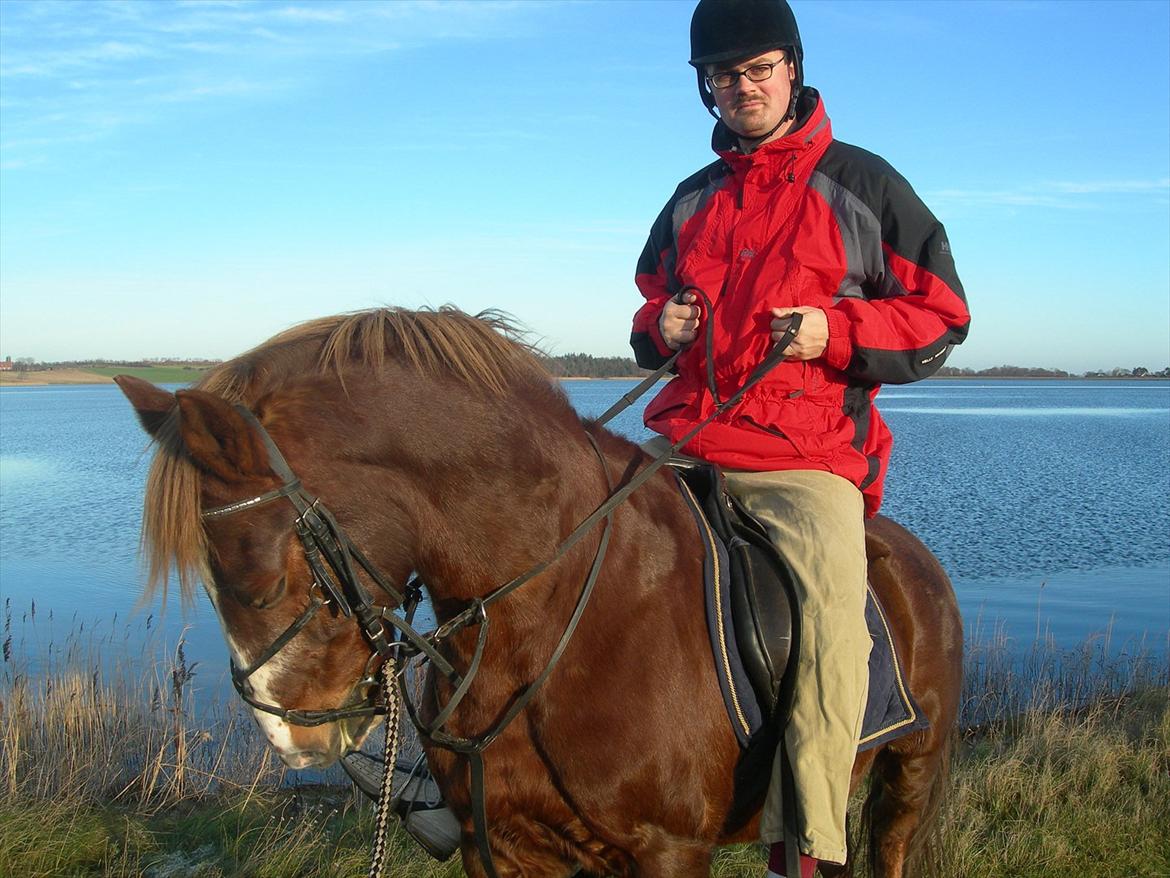 New Forest Sanchez - Min far rider Sanchez xD billede 6