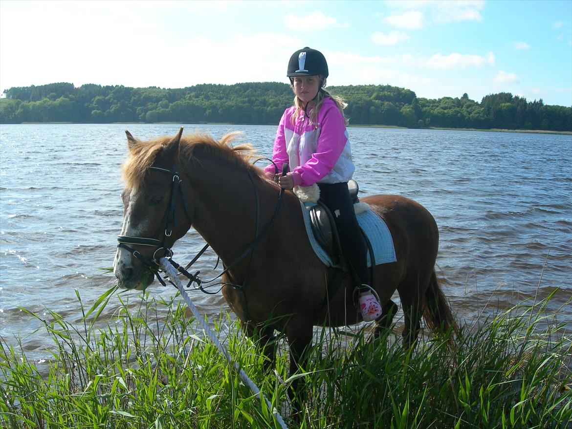 New Forest Sanchez - Her rider jeg ham :D billede 10