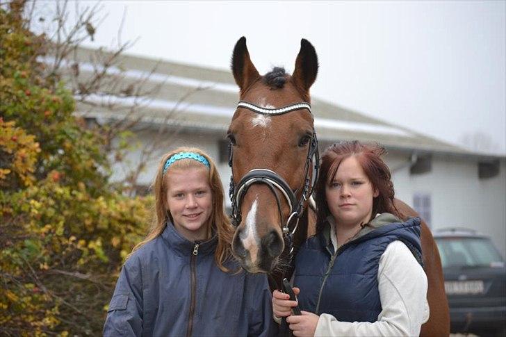 Anden særlig race DON JUAN (DJ) - Mette-DJ-jeg <3
Taget af Dina Iversen. billede 3