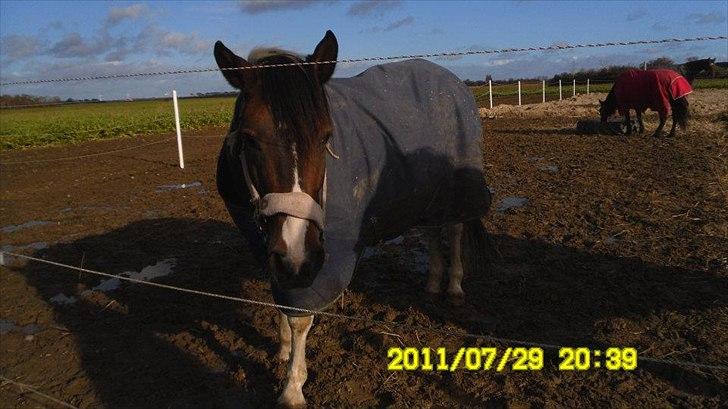 Pinto Søholt's Teepee"Goodbye my savior" - Er det en god fold Teepee<3 billede 10