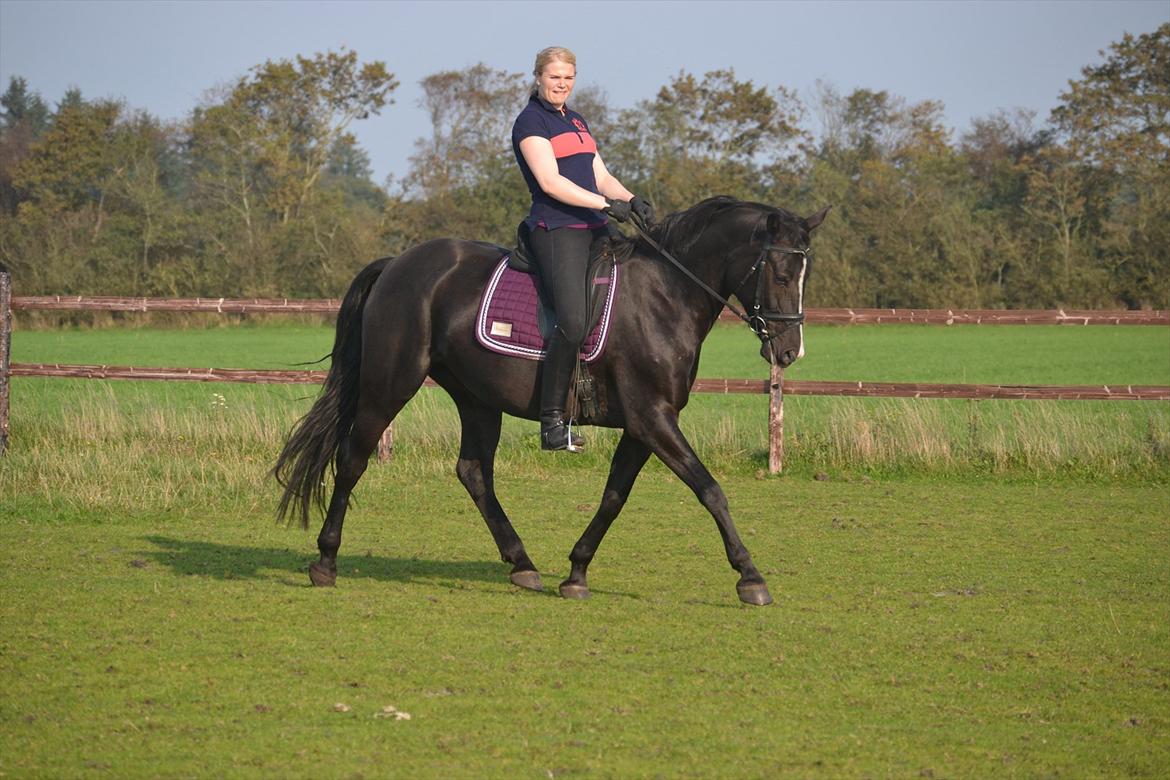 Oldenborg Tamara Sejr  billede 17