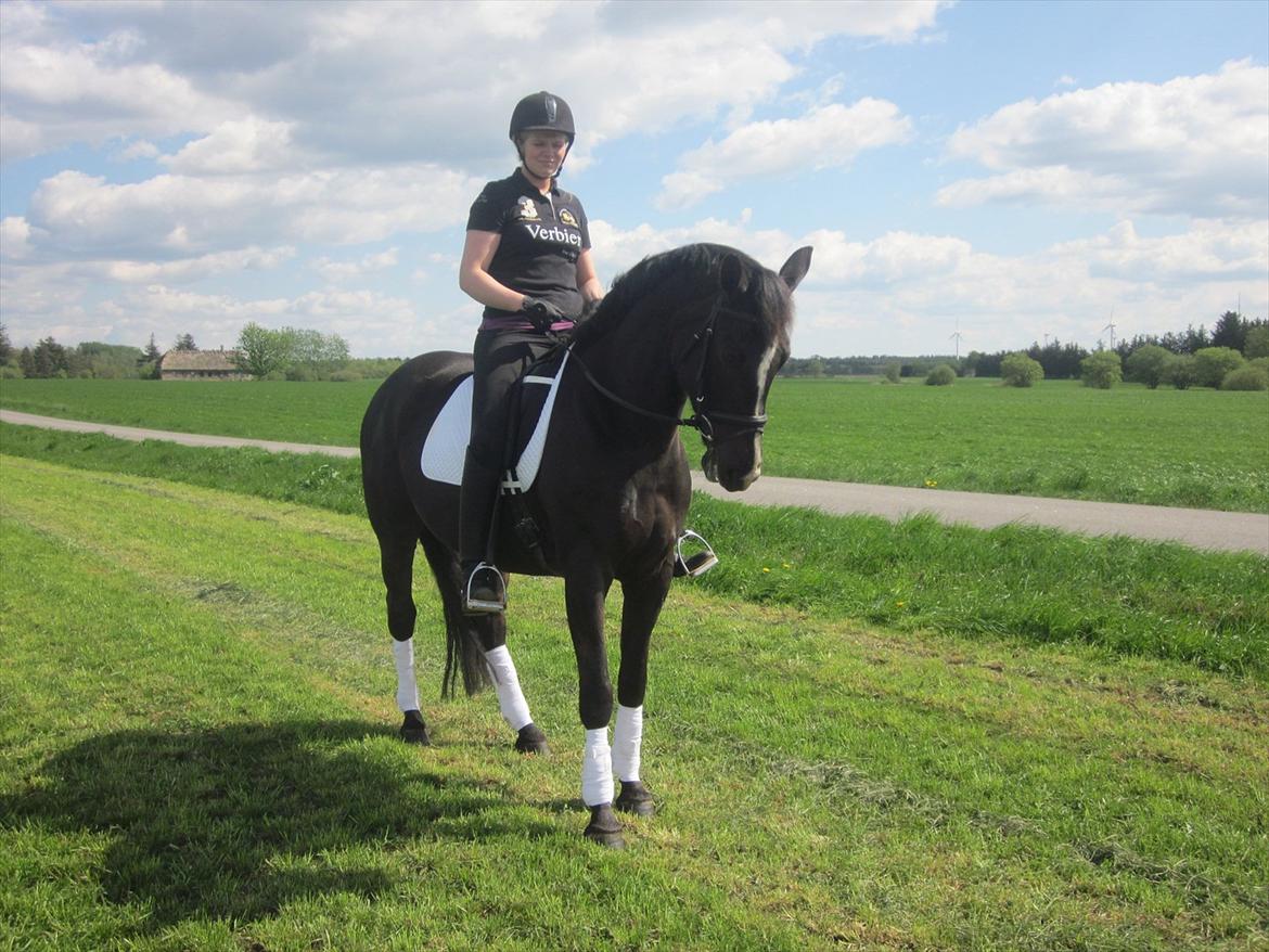 Oldenborg Tamara Sejr  billede 18