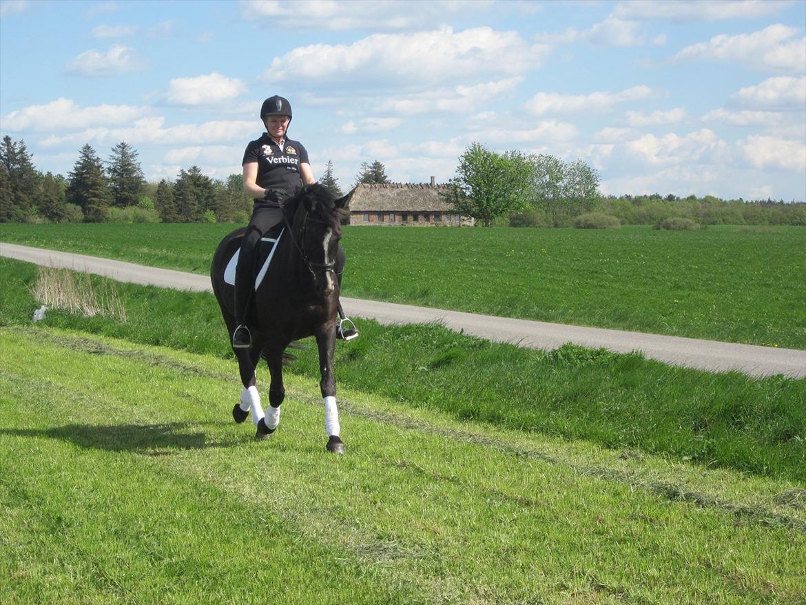 Oldenborg Tamara Sejr  billede 19