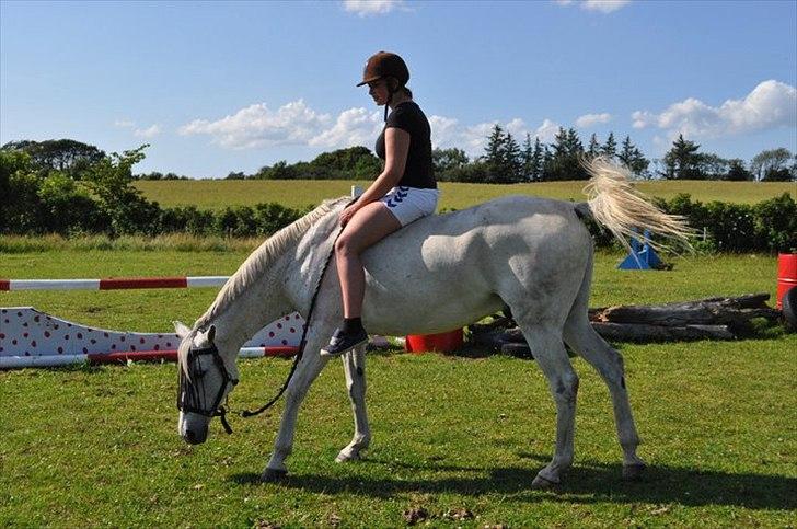 Anden særlig race Flash Lightness - *Den sidste uge med min dejlige pony, hvor han var med på ridelejer, fordi jeg ikke kunne undvære ham<3 så han gik bare og hyggede sig med sin bedste ven micky <3 billede 12