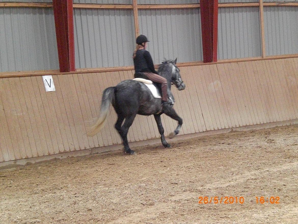 DSP Leonardo Søblink billede 2