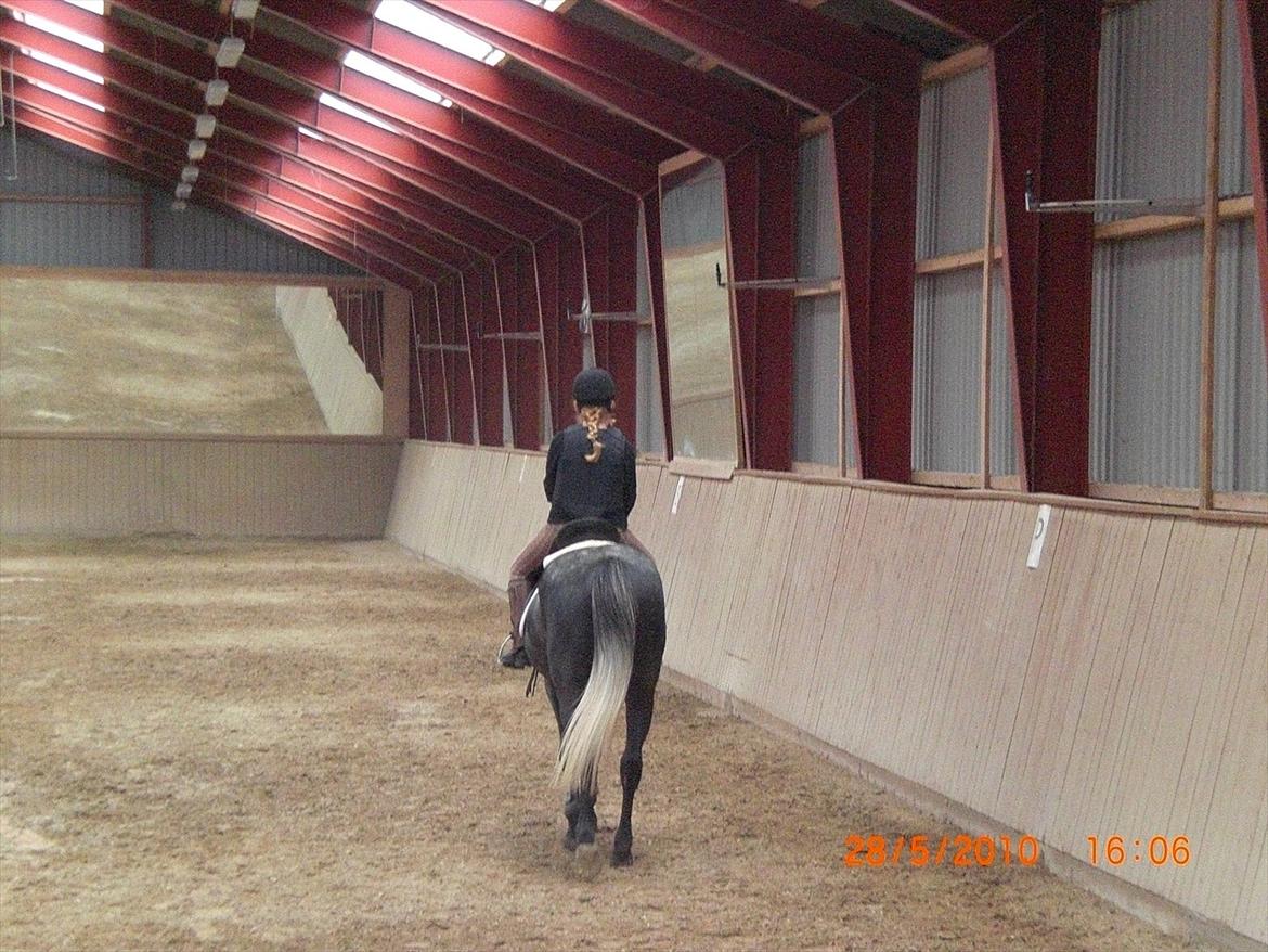 DSP Leonardo Søblink billede 3