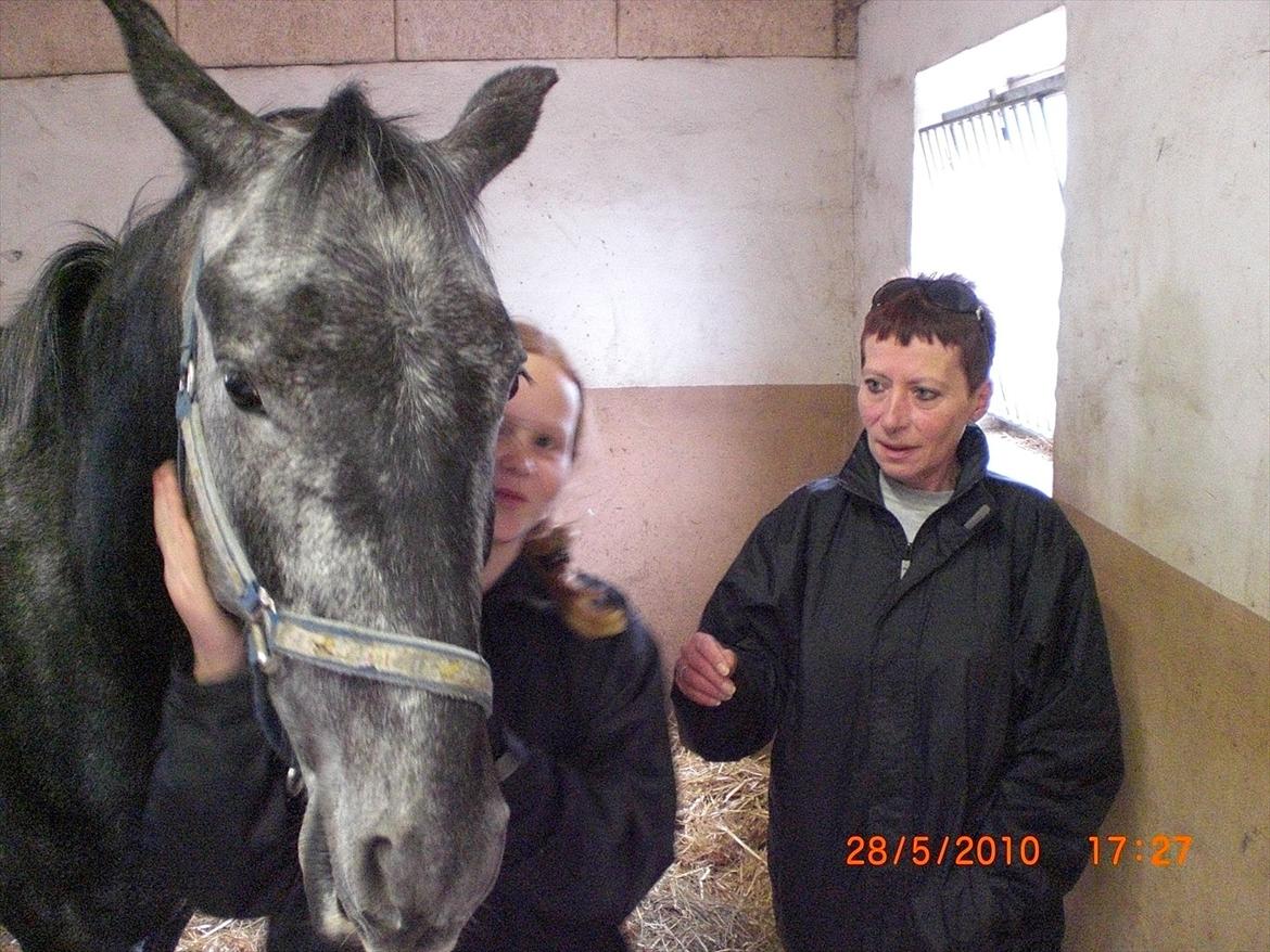 DSP Leonardo Søblink billede 4