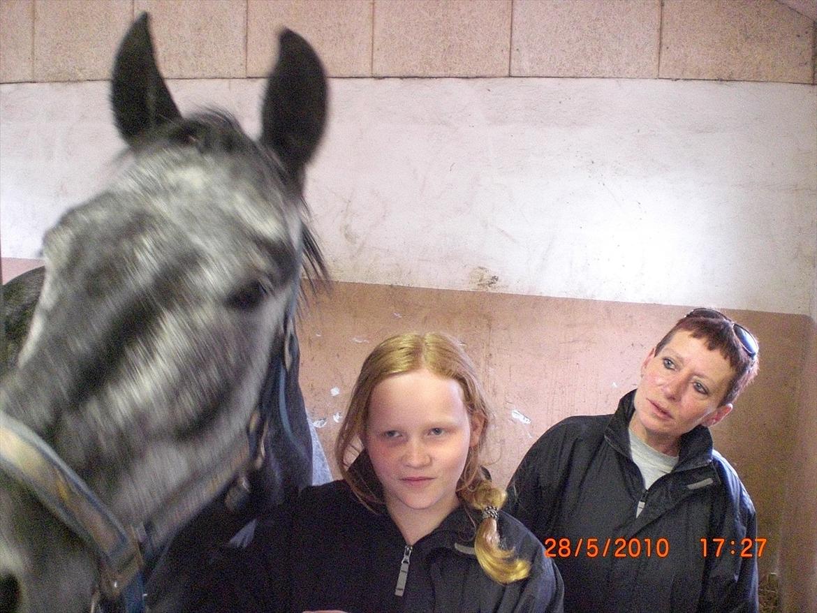 DSP Leonardo Søblink billede 5