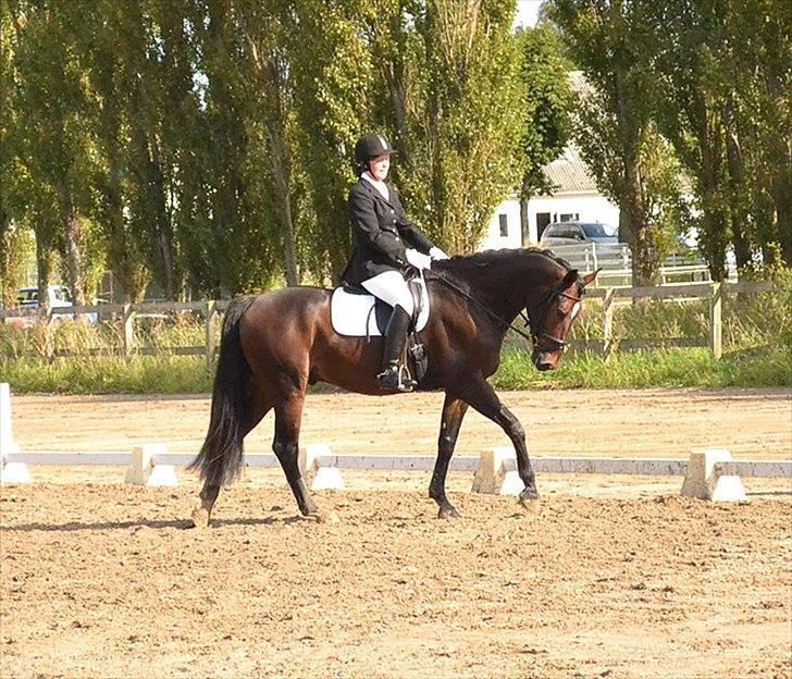 Oldenborg Højager Tobias - LA2 på HVR billede 8
