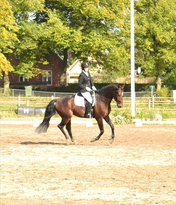 Oldenborg Højager Tobias - LA2 på HVR billede 9