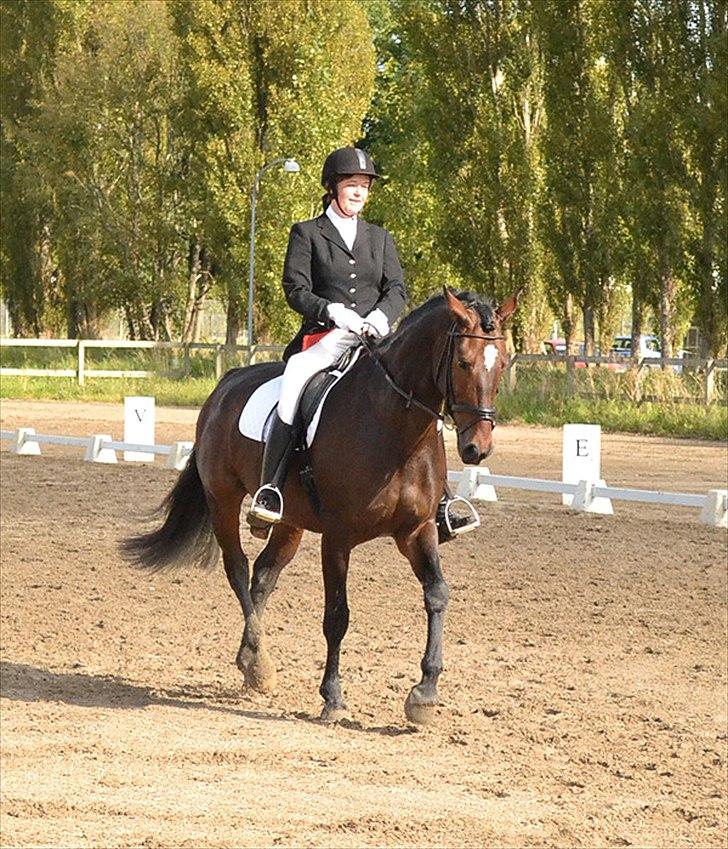 Oldenborg Højager Tobias - LA2 på HVR billede 10