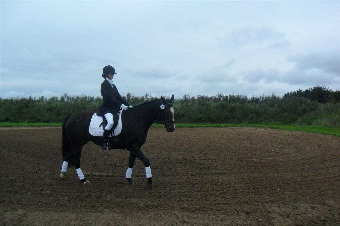 Anden særlig race Houmgaards Shakira<3. - Til stævne på Grk. billede 15