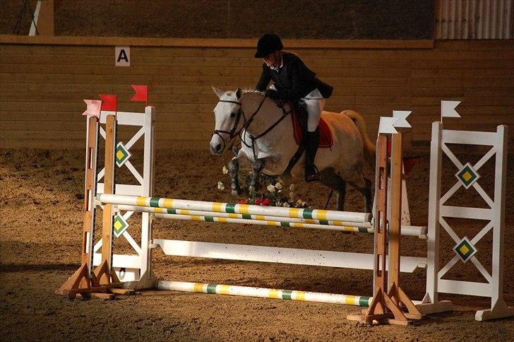 Connemara Prospect Dal Moro - LA*<3 billede 4