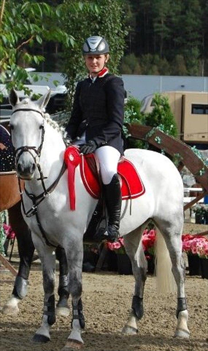 Connemara Prospect Dal Moro - 2.plads til D-stævne <3 smukke pony ;** billede 6