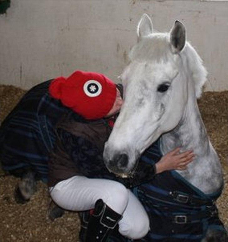 Connemara Prospect Dal Moro - før stævne der lille baby endu ikke har stået helt op<3 haha billede 8