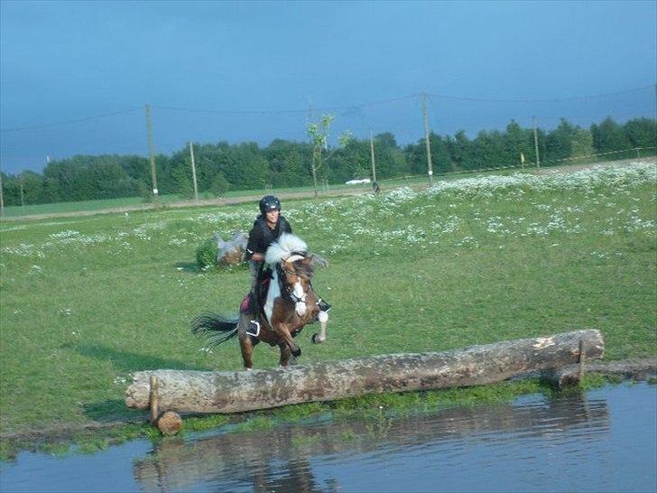 Anden særlig race Stald Poppels Holy Man <3 SOLGT !:-* - Første gang Holy hopper direkte ud i vandet. (: Foto: Emilie Hyldgaard(:  billede 11