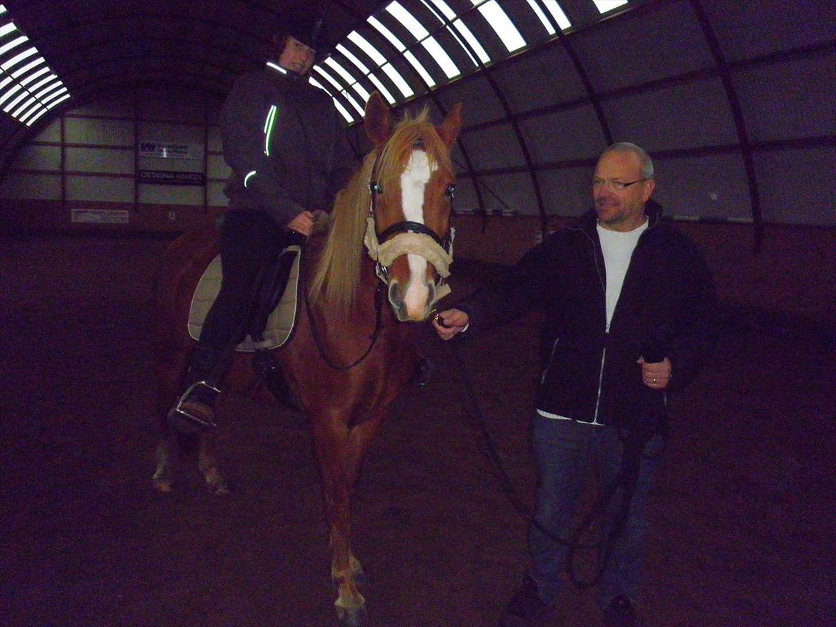Anden særlig race Kjelstrups Shadow :) - første gang jeg sidder på ham :)!
d. 29-10-11 billede 2