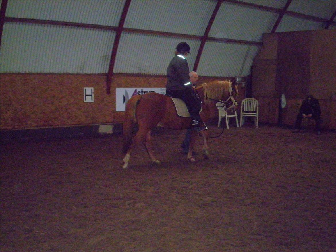 Anden særlig race Kjelstrups Shadow :) - jeg skridter første gang :D ! billede 16