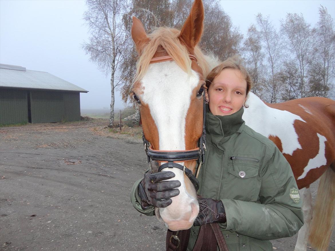 Pinto Solheimgaards Margó - <3 billede 3
