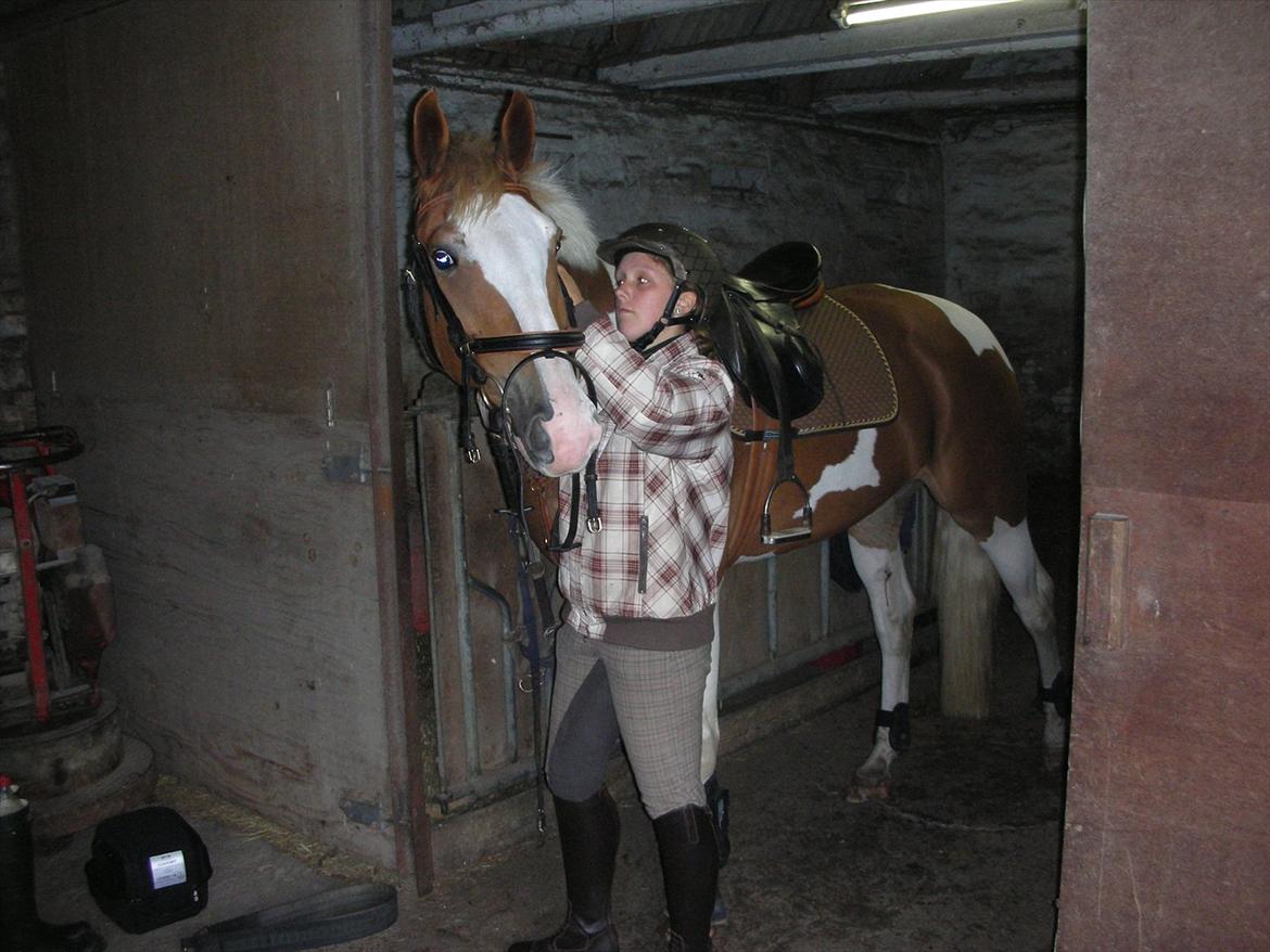 Pinto Solheimgaards Margó - Skynd dig lidt mor <3 billede 9