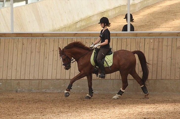 DSP Rob Roy billede 20