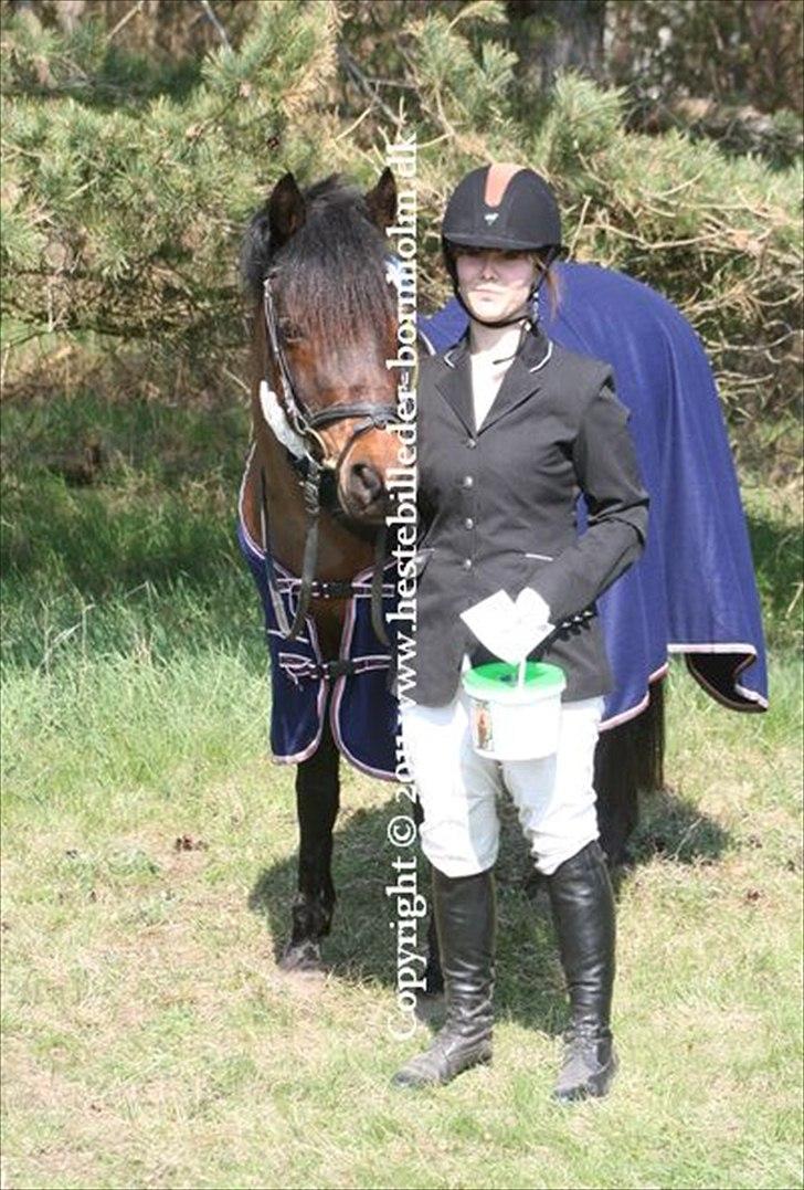 Connemara Camellia B-pony - Gärds 2011! Hendes 2. militarystævne nogensinde! 3. gang i terrænet. 1. plads blandt 26 deltagere fra hele Norden! Cncp90. En af de bedste ture i terrænet nogensinde! <3 billede 20