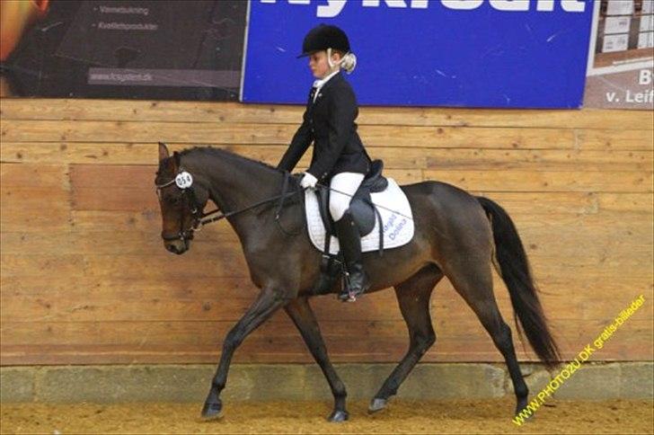 DSP Røgild's dolina billede 20