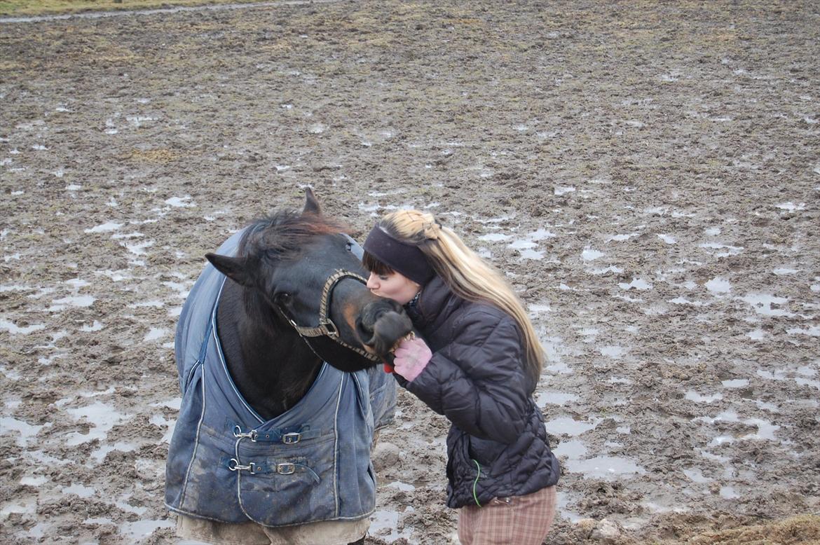 Anden særlig race Moonlight *SENDT TILBAGE* billede 11