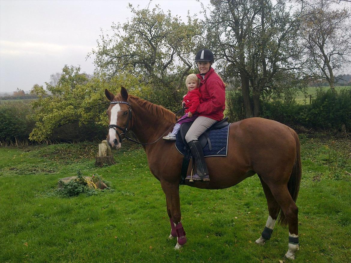 Dansk Varmblod Racing Star - super dejligt billed af mig og min datter og star. et godt minde. billede 17