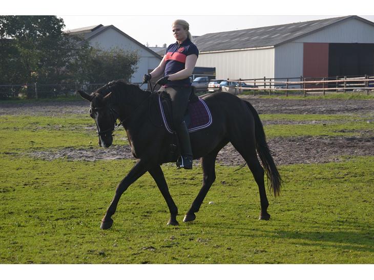 {{currentPhoto.altText}} billede {{currentPhoto.number}}