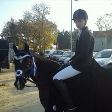 Sportsaraber (A) Lundgårds Tiger Lili