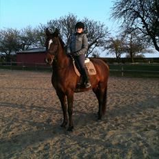 Anden særlig race Dalshøj Malina