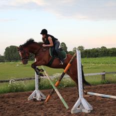 Anden særlig race  Pardo - A Part Of Me! :*