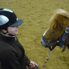 Miniature Wendeline Van Der Wilspedijk