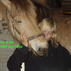 Fjordhest  aflivet   Bella Granly PRINSSEN