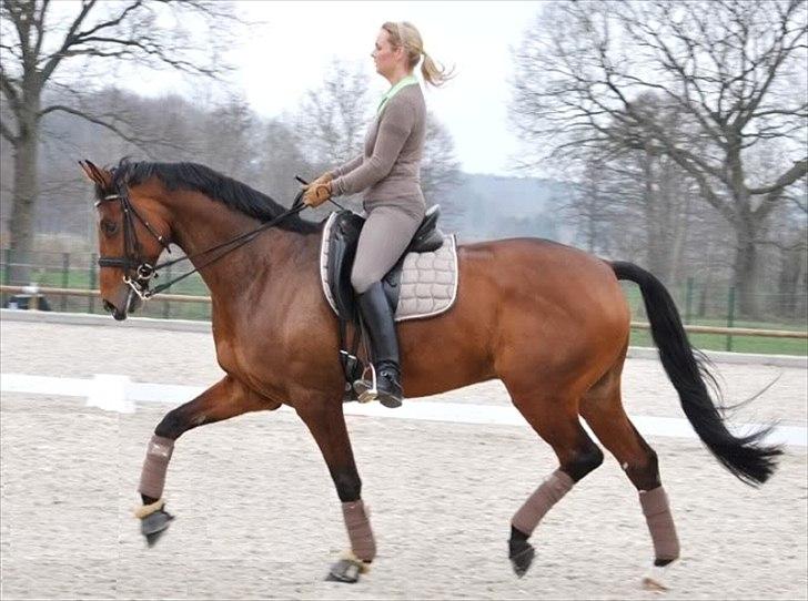 Anden særlig race                                          Otho billede 1