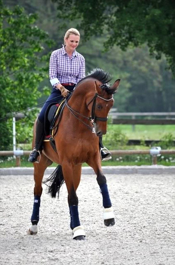 Anden særlig race                                          Otho billede 8