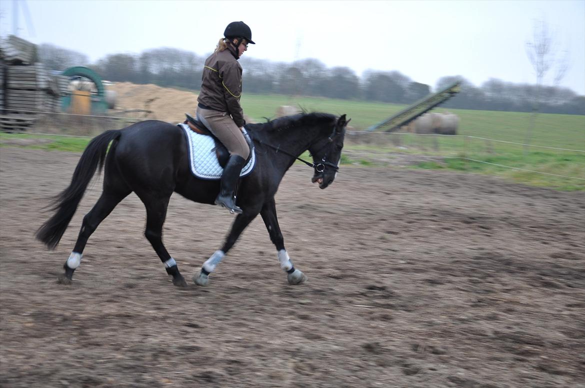 Traver Ikaros Herve - R.I.P billede 6