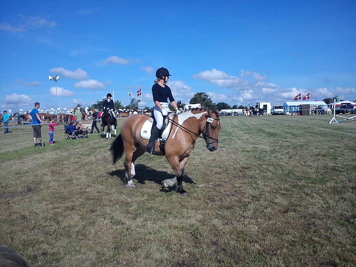 Anden særlig race B.S - Dyreskuet i Aulum 2011:)
<3<3 herlig dag<3<3 billede 1