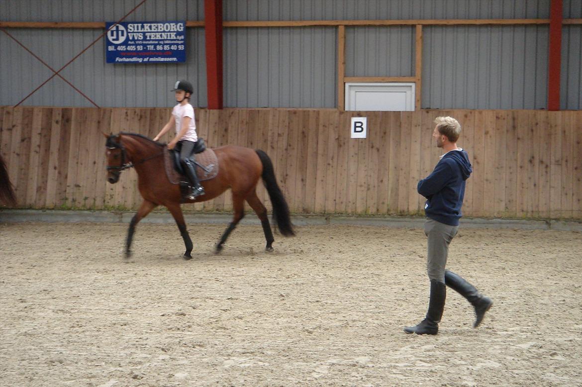 DSP Bæklunds Anizette - Til undervisning hun var så dygtig!;D billede 4