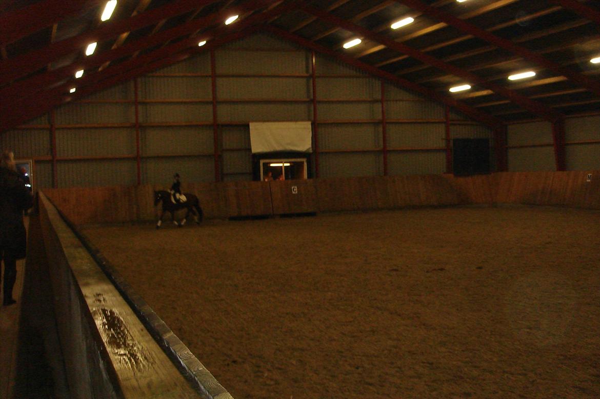 DSP Bæklunds Anizette - første stævne på hjemmebane! billede 7